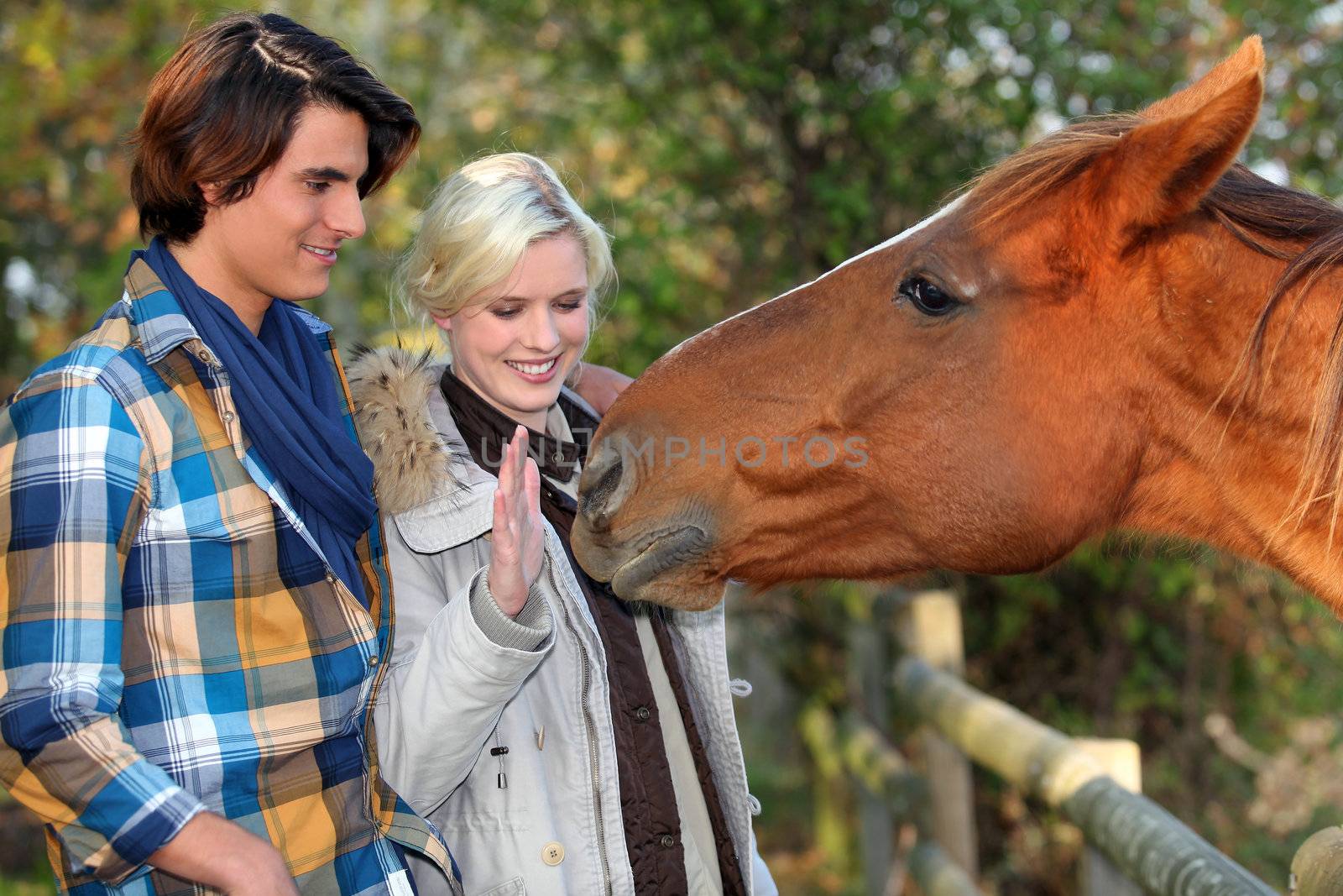 a couple and a horse asking for caress