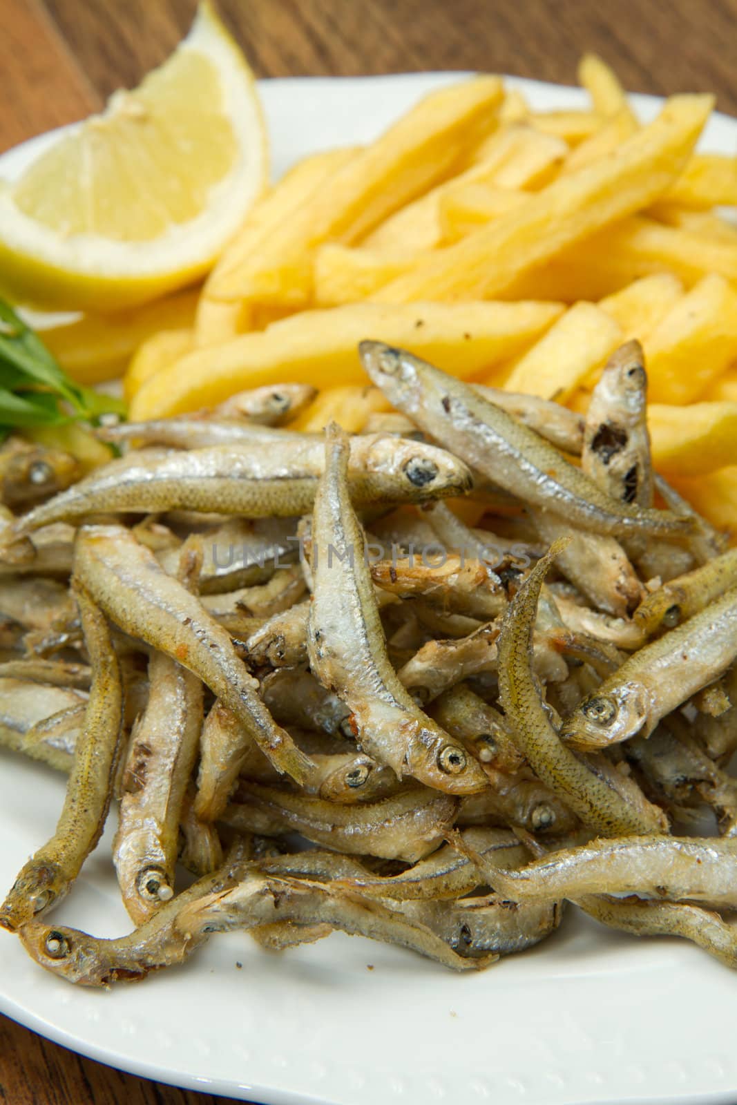 minnows fried by lsantilli