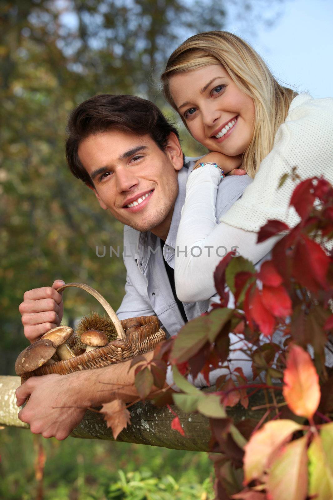 Couple gathering mushrooms in basket