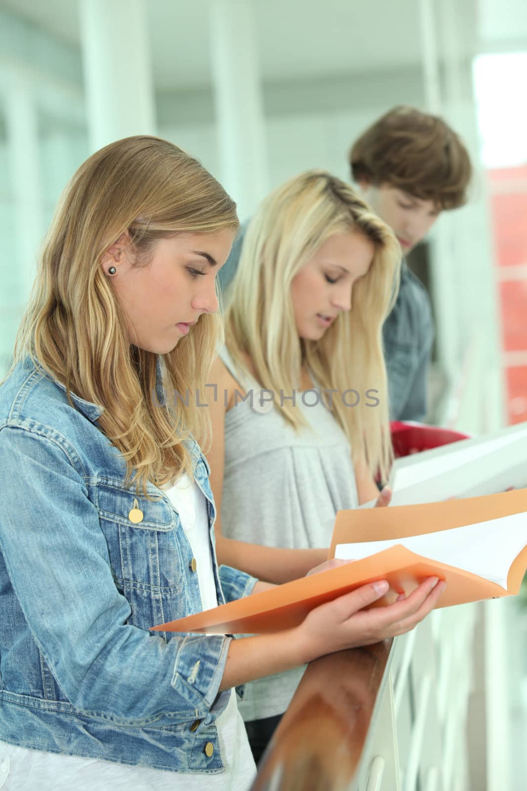 Students reading assignments by phovoir