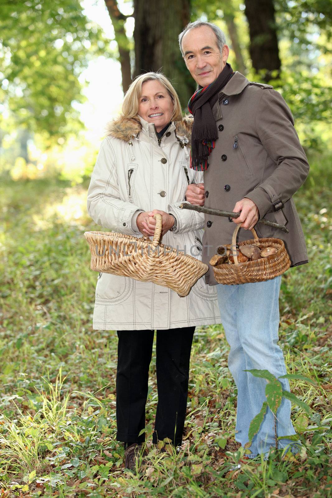 Couple collecting wild mushrooms