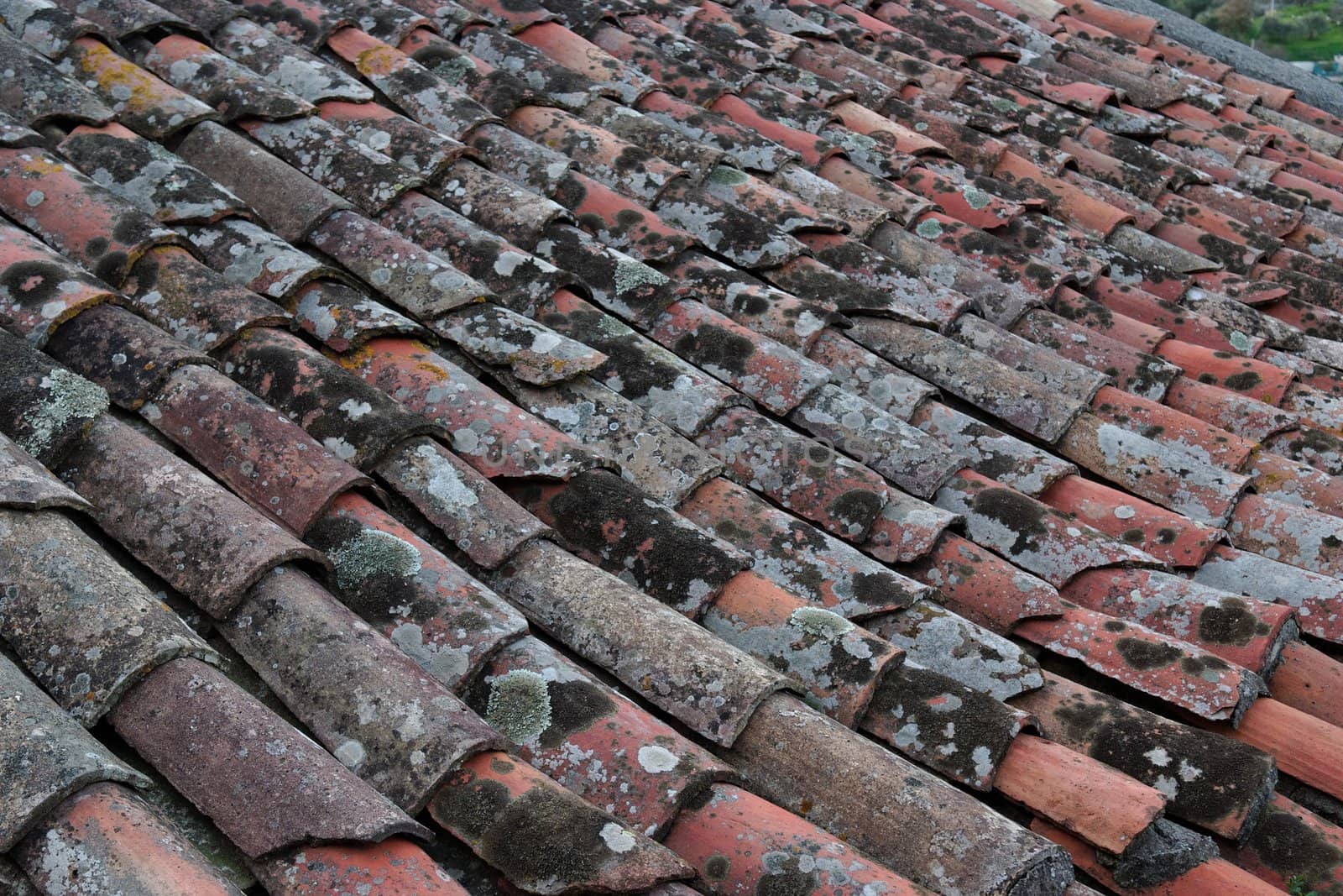 Background of old roof tiles covered with lichen and moss