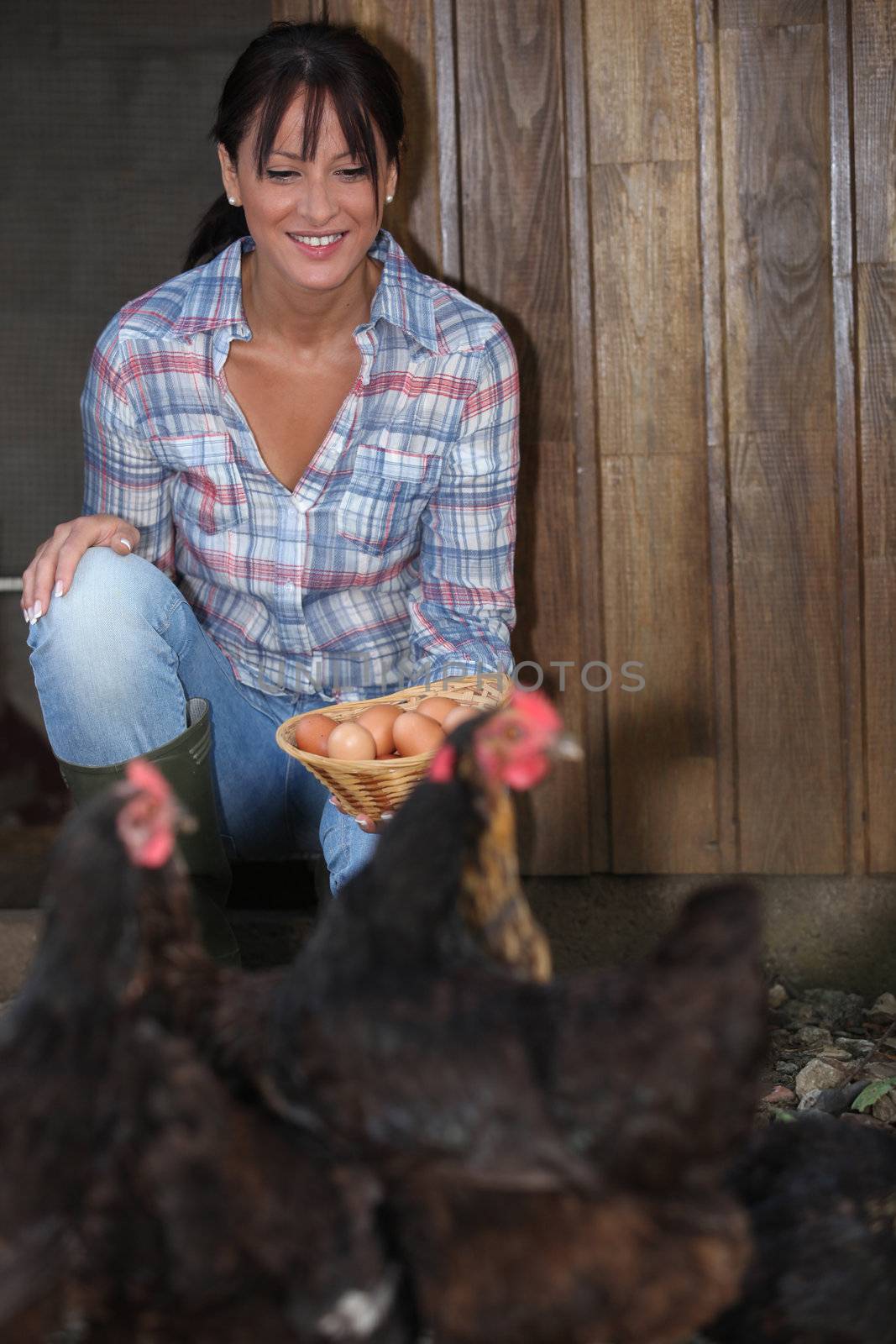 Woman gathering fresh hen eggs