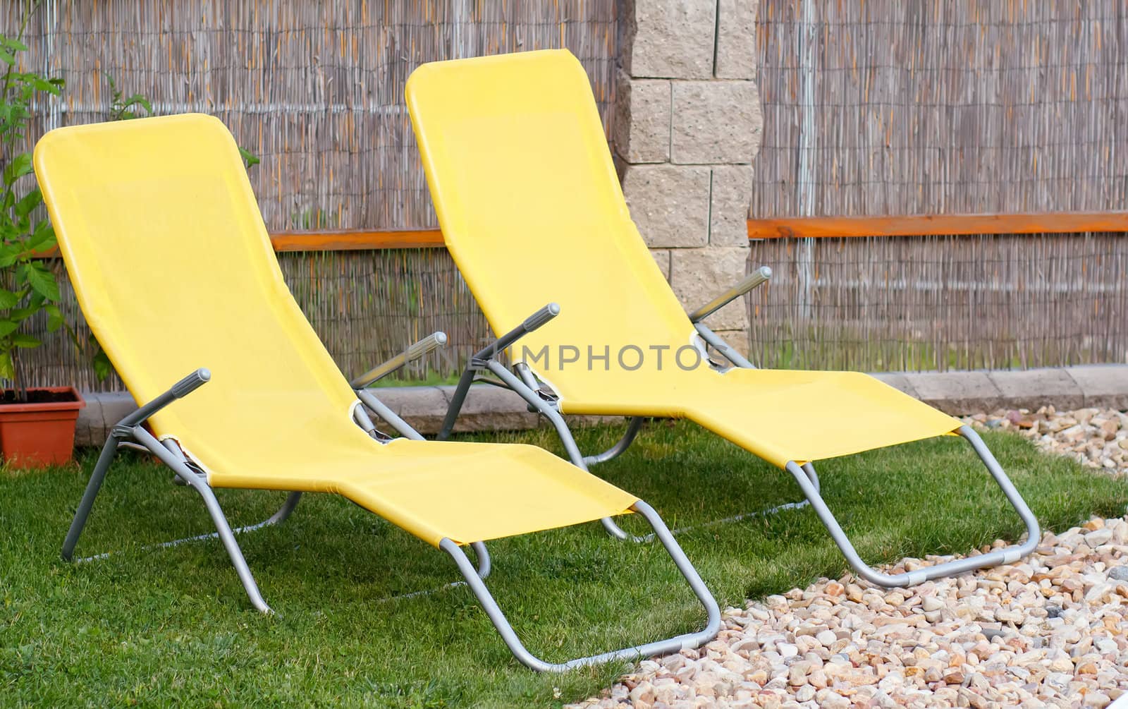 Two empty yellow sun loungers on a garden