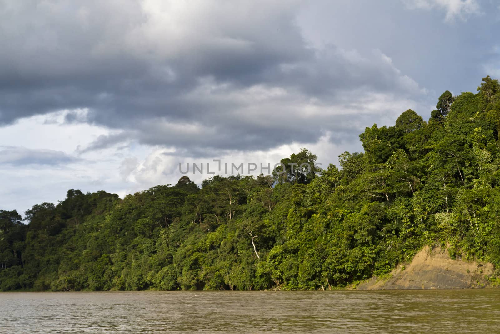 view of rainforest by the edge of Rajang River in Sarawak, Malaysia with dark clouds forming in the background
