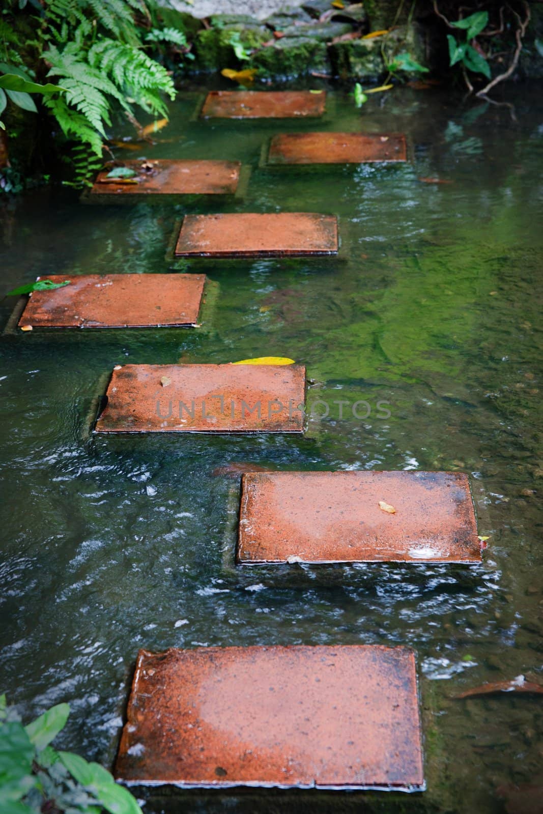 stepping stone tiles cross the river or stream