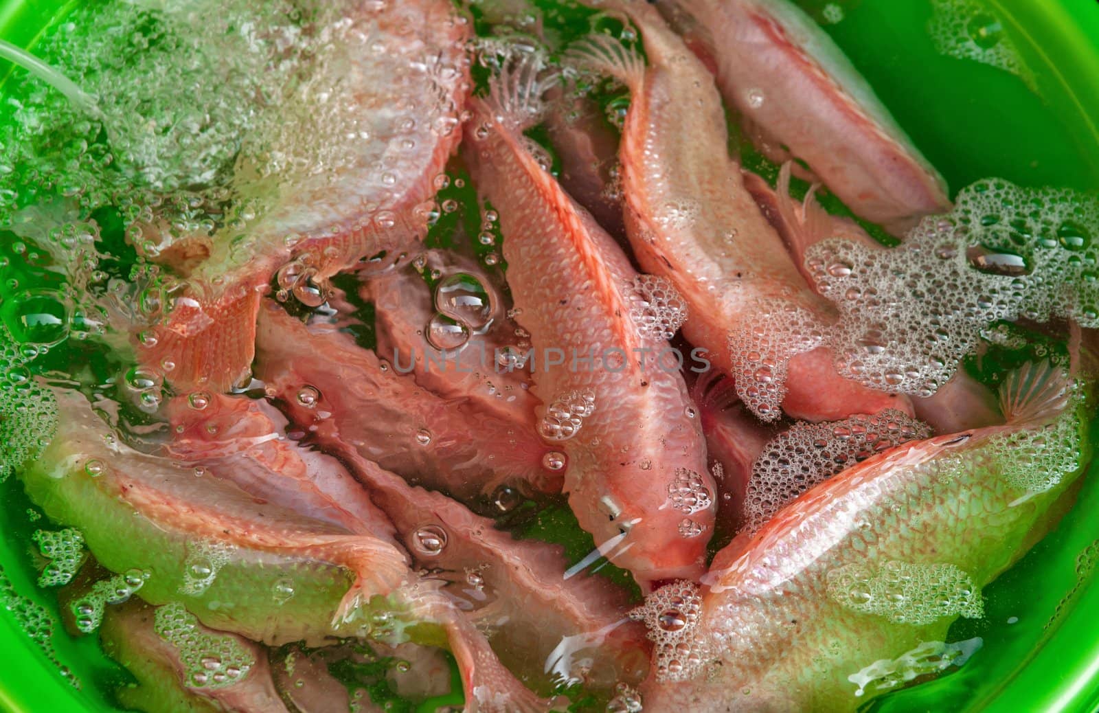 fresh fish for sale at ben thanh market