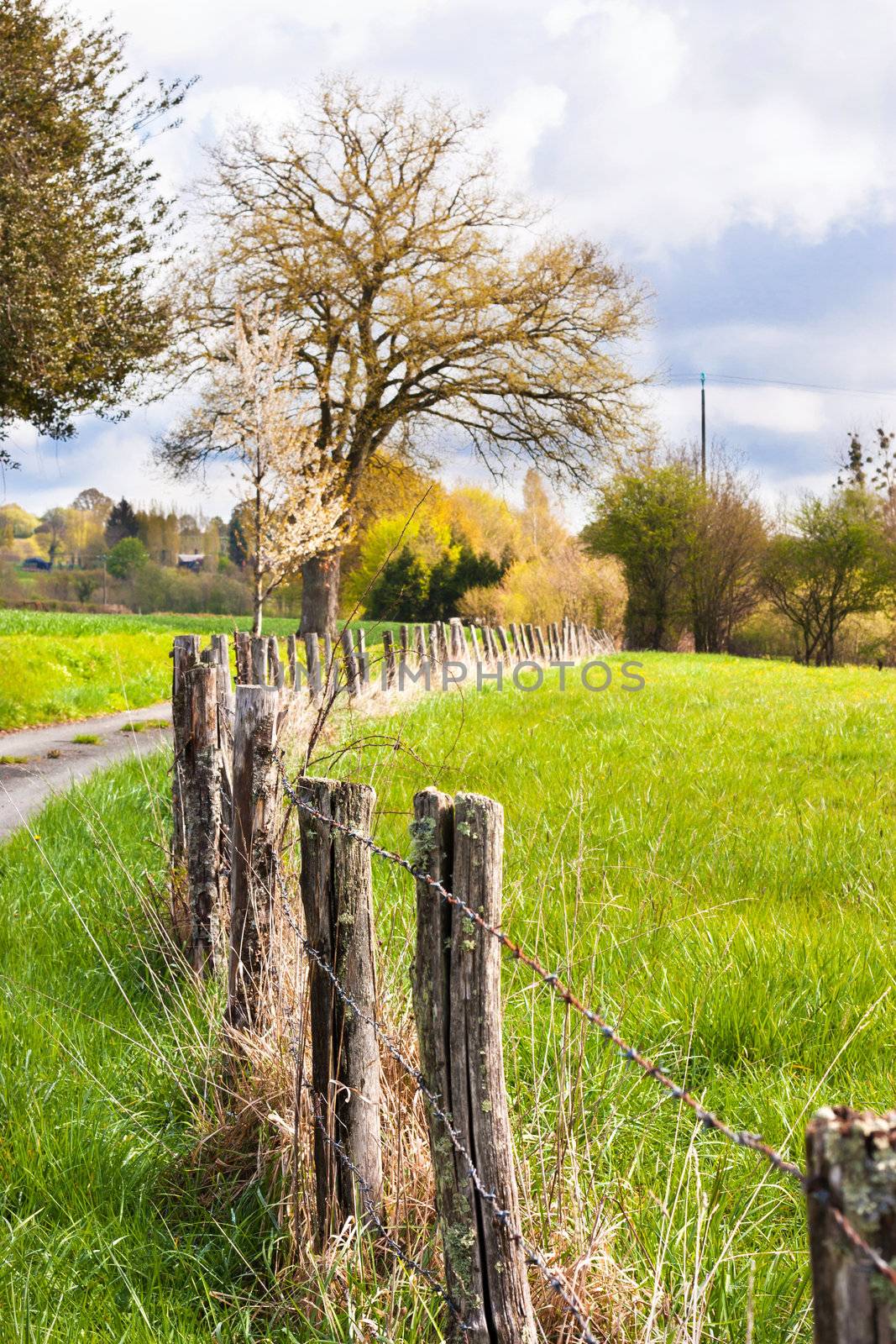 Countryside landscape in France with a small road and fence pasture