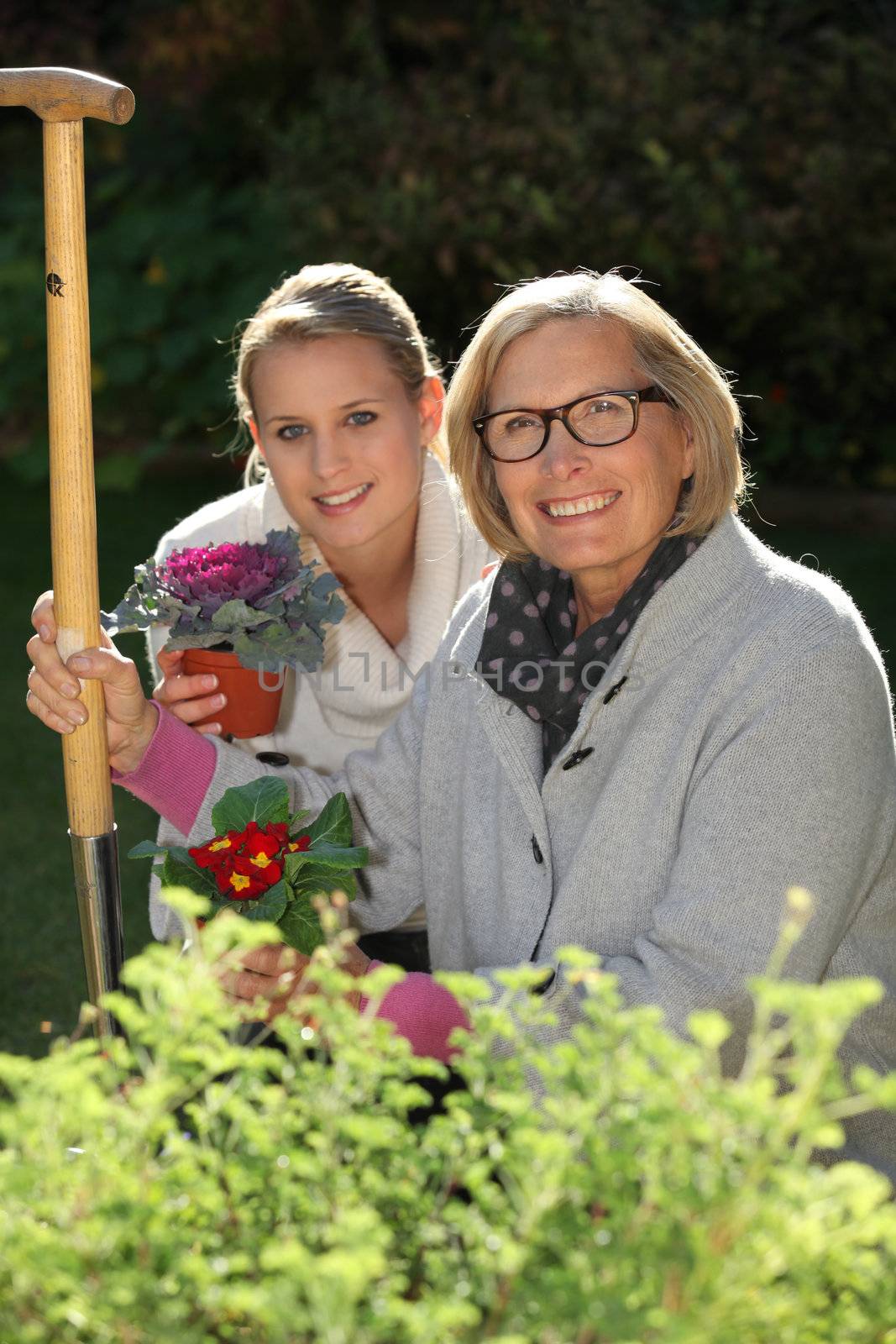 Women planting flowers