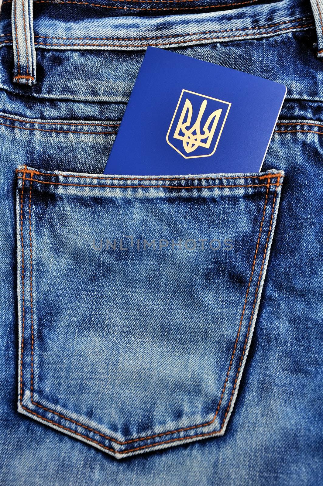 Ukrainian foreign passport by vetkit