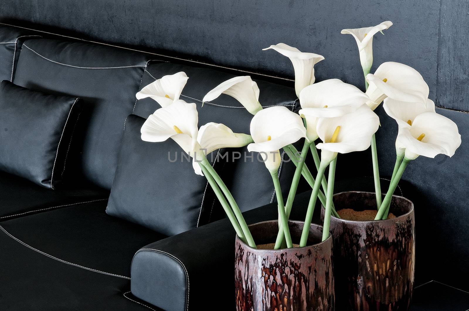 contemporary interior design with sofa and flowers