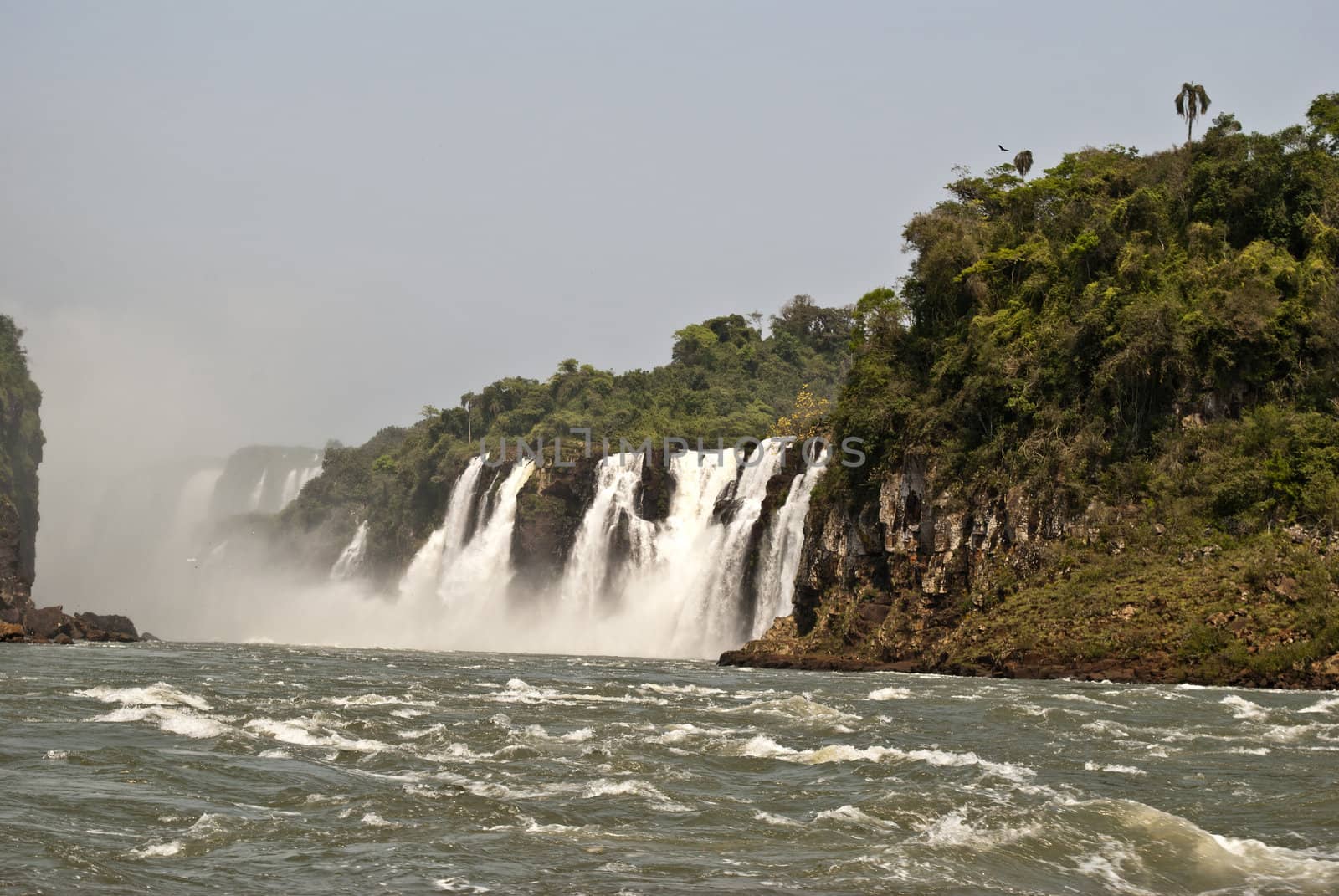 iguazu falls,argentina by lauria