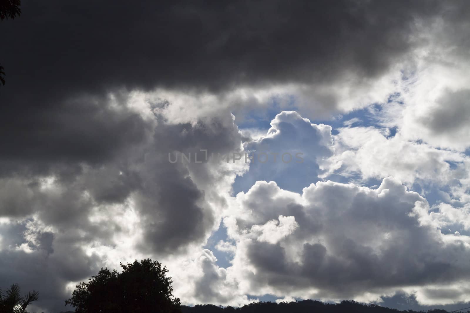 dark clouds forming on the sky with sillhouette of foliage at the bottom frame