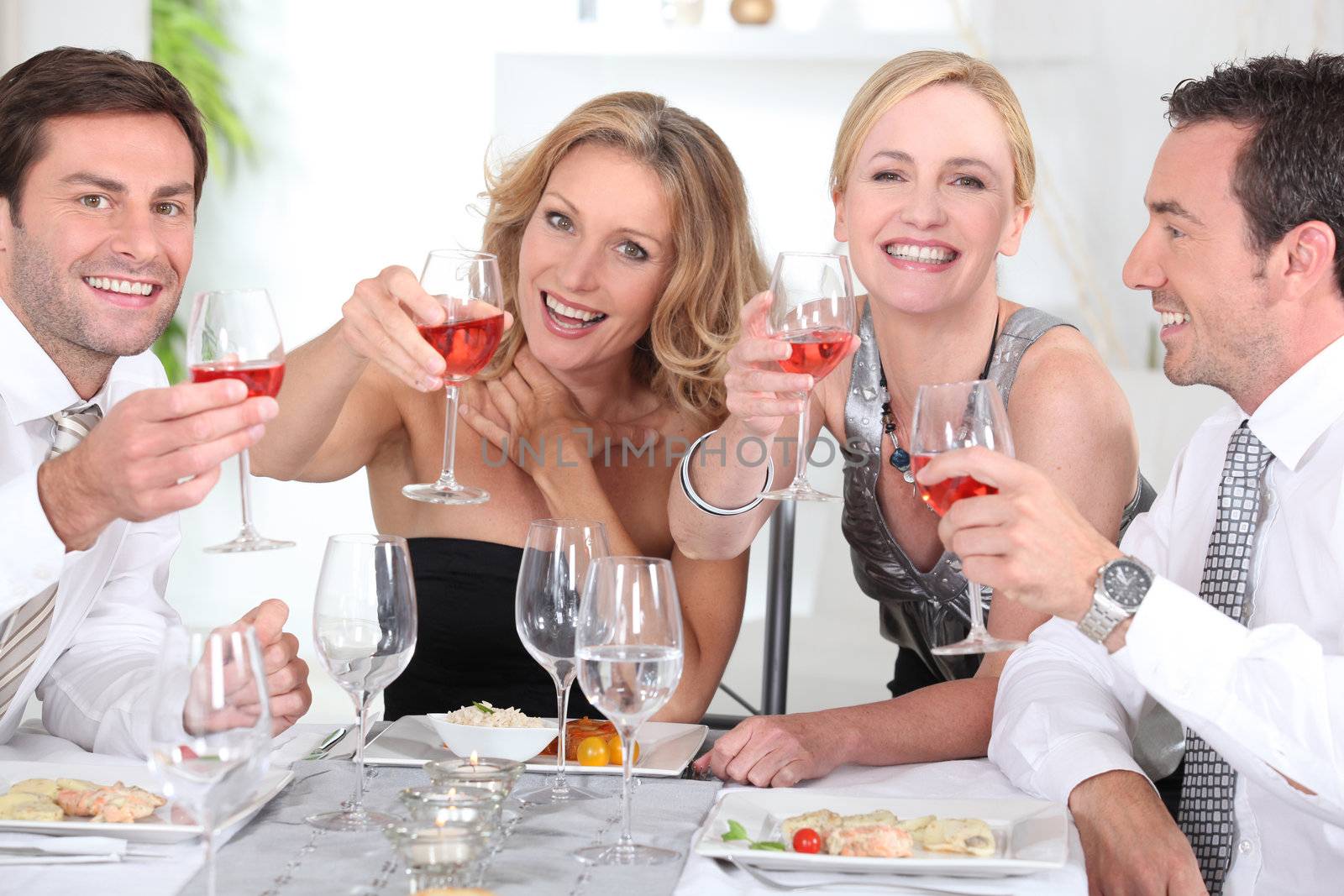 Group of adults having a dinner by phovoir