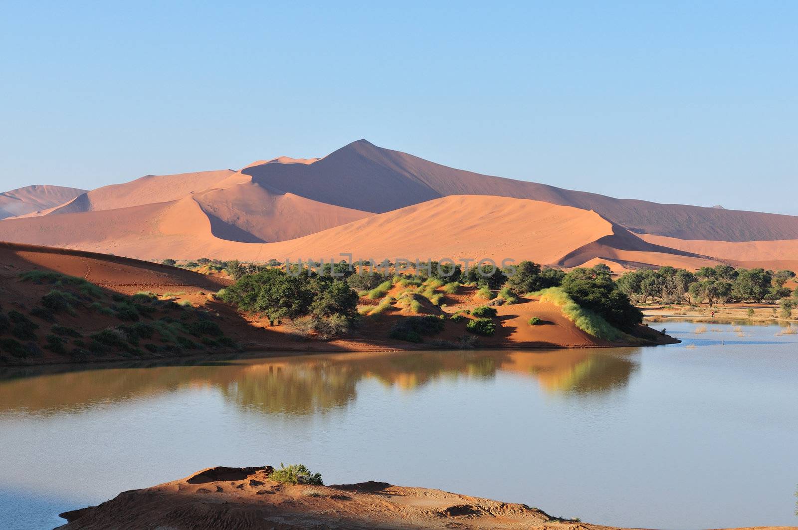 A rare sight: Sossusvlei in the Namib desert of Namibia filled with water. Big Daddy, one of the highest dunes in the world, is in the background.