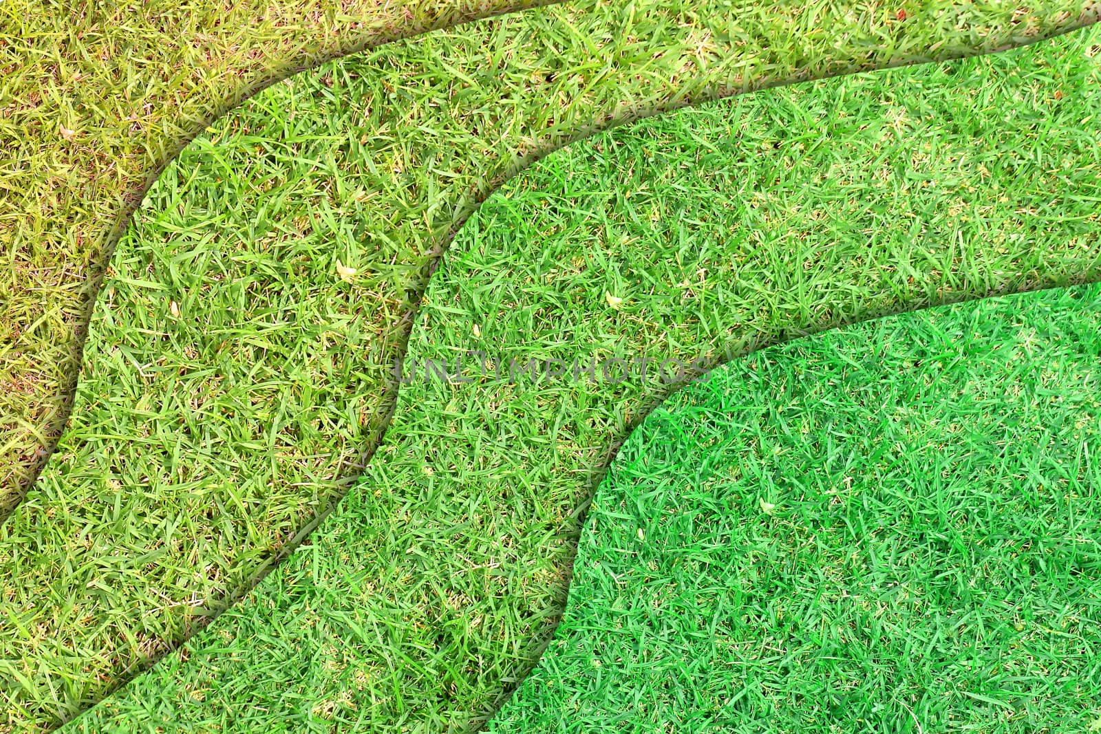 layer of green grass for web background
