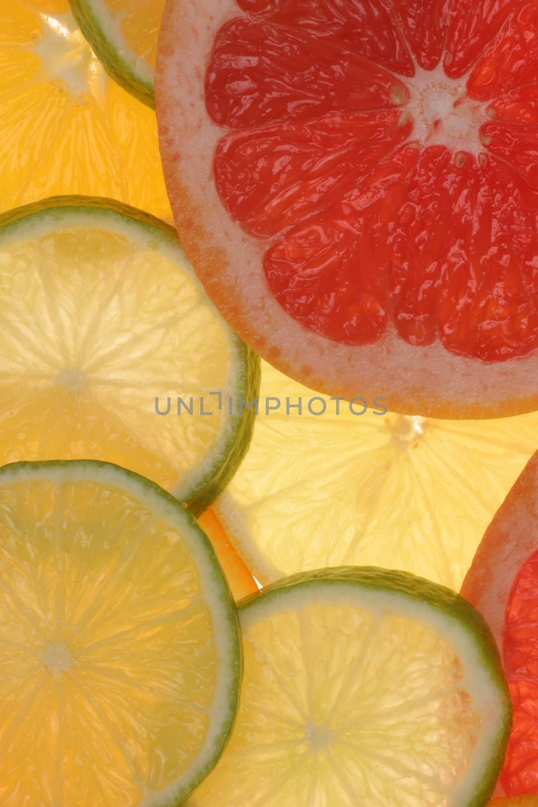 citrus fruits in slices...........