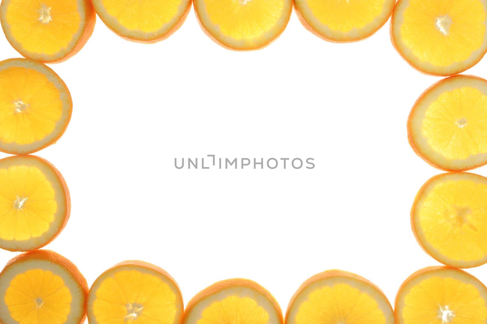 Citrus by yucas