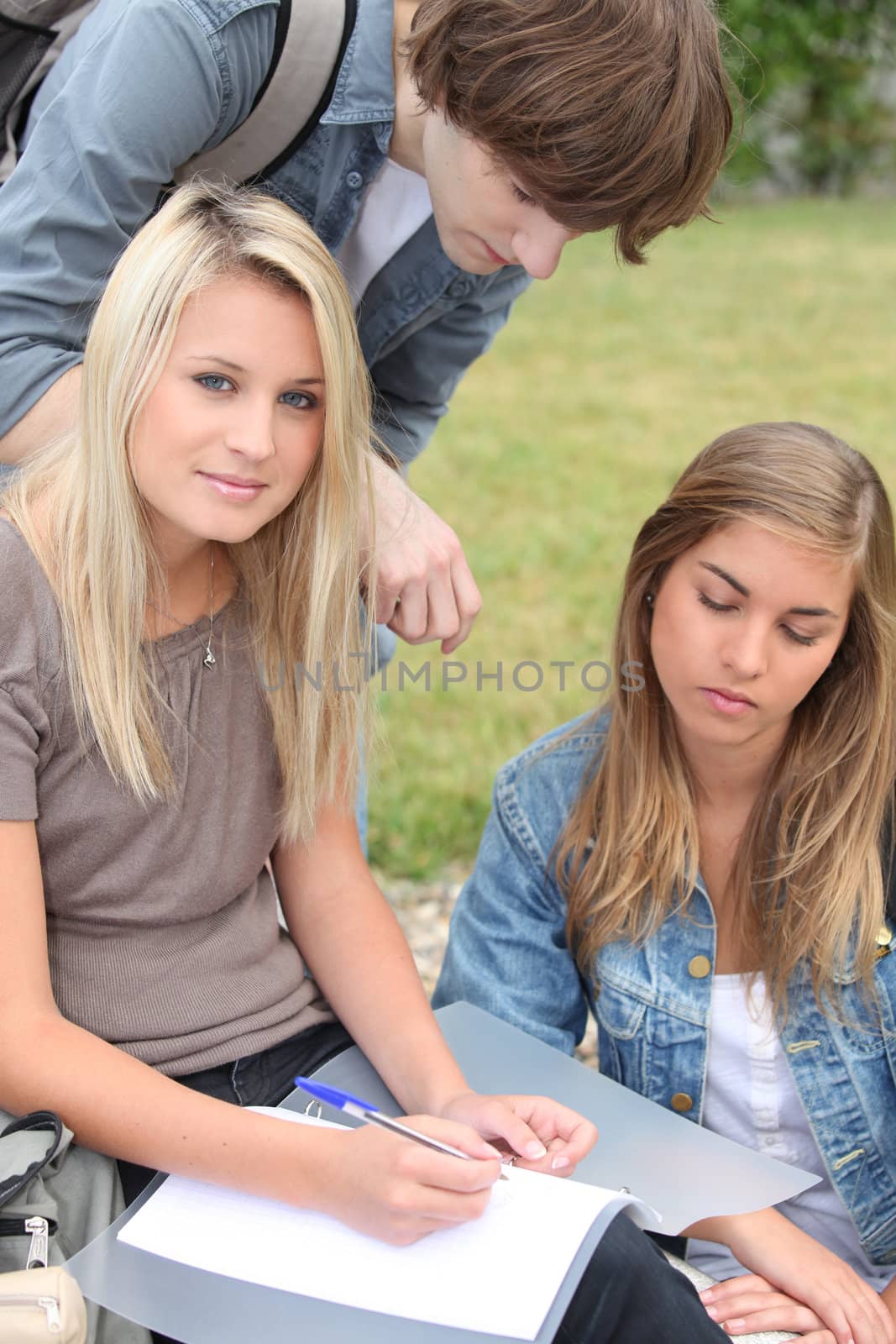 Three students studying in the park