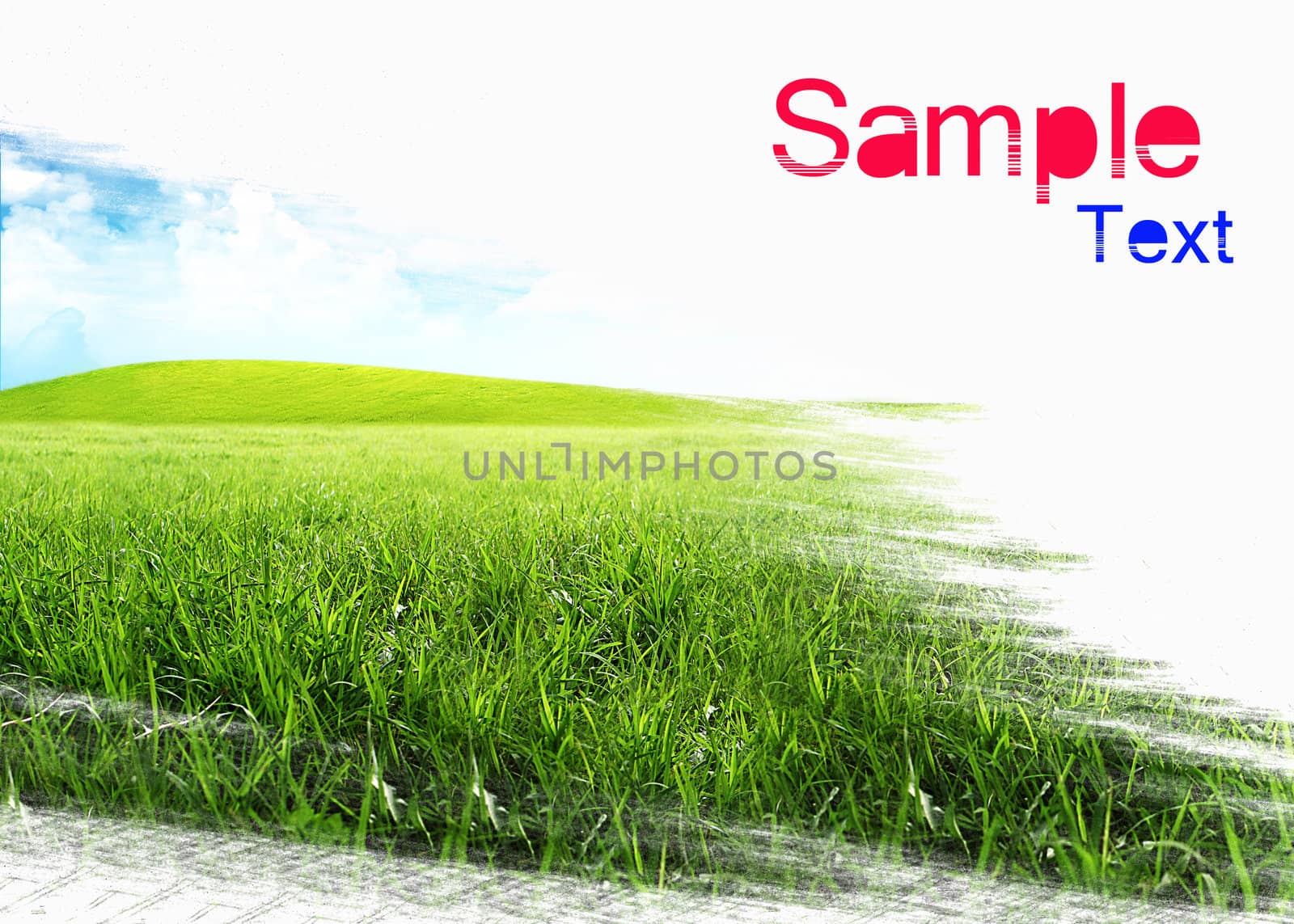 field of grass and perfect blue sky by rufous