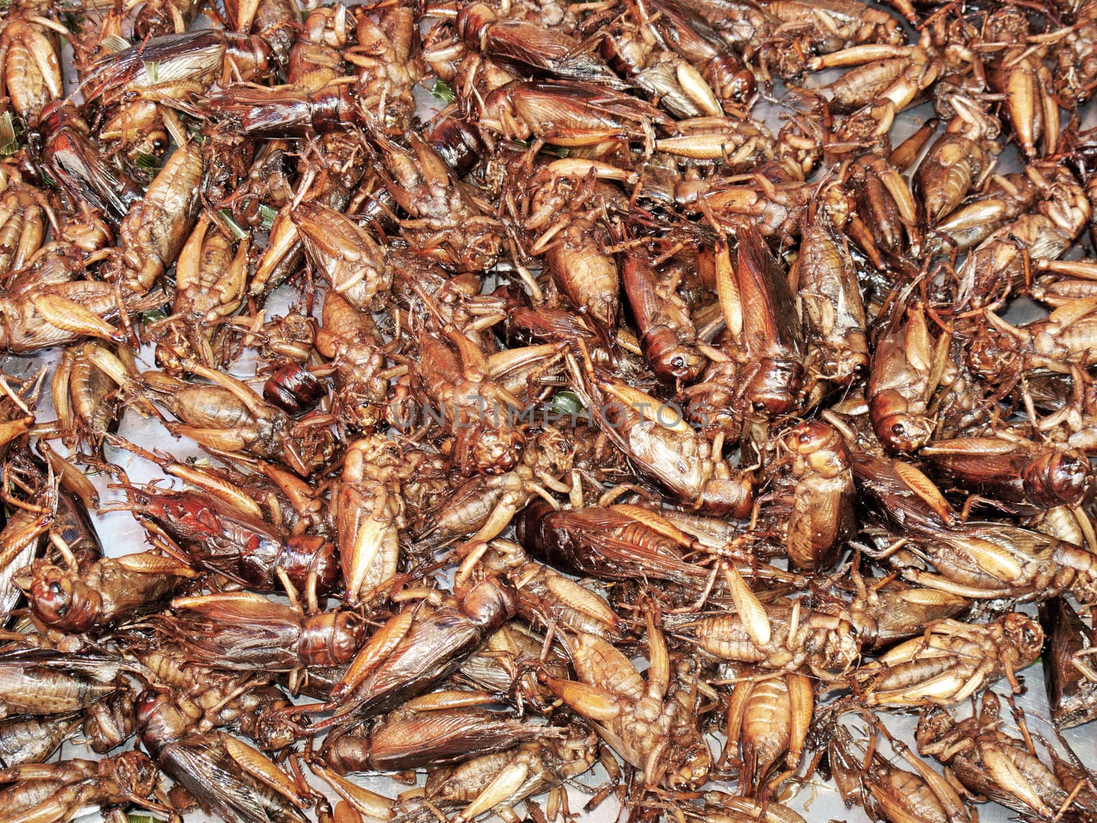 fried crickets at food market in thailand by jackmalipan