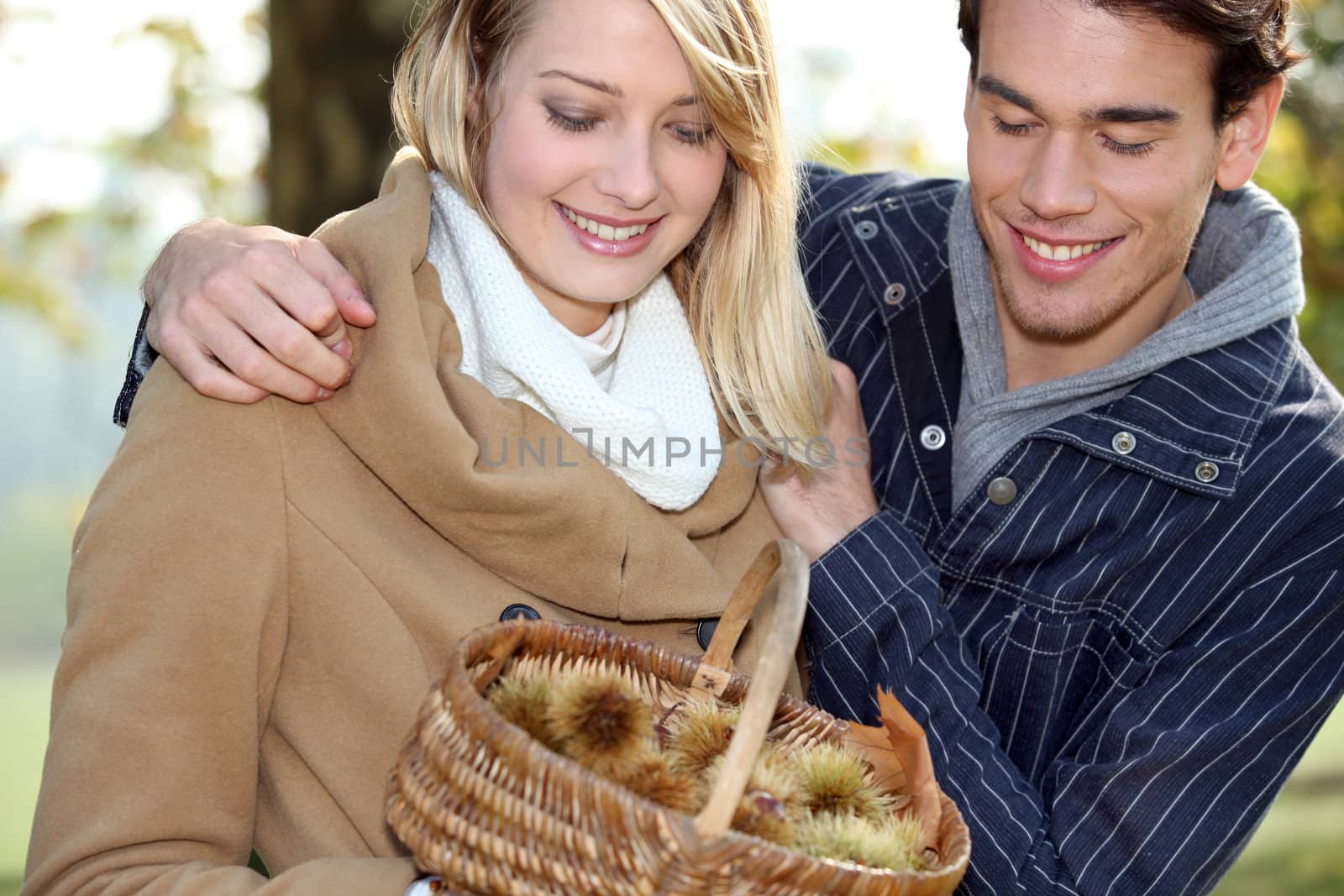 Couple collecting chestnuts by phovoir