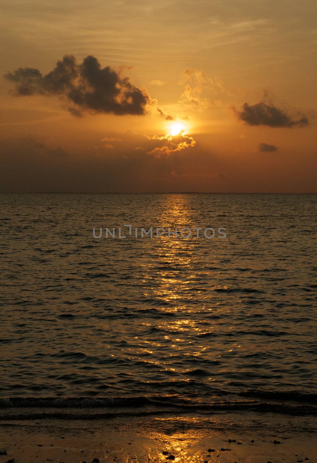 Beautiful Indian Ocean beach sunset still life