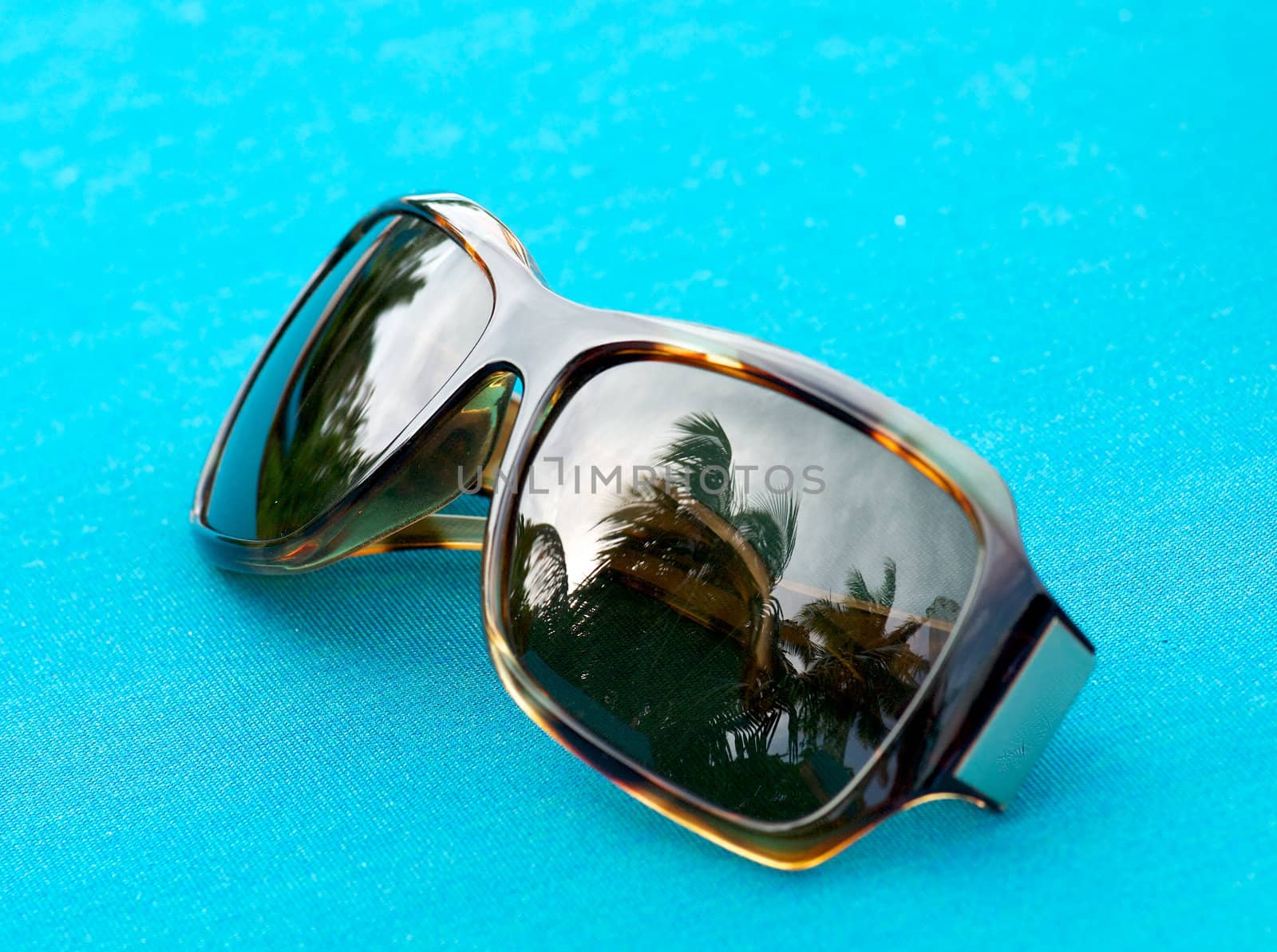 Brown sunglasses with palm reflection by zhekos