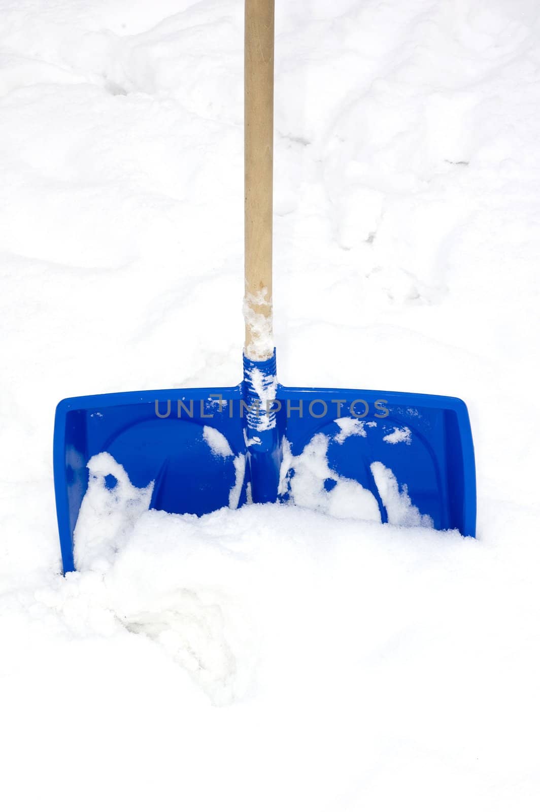 Blue spade for snow in a snow