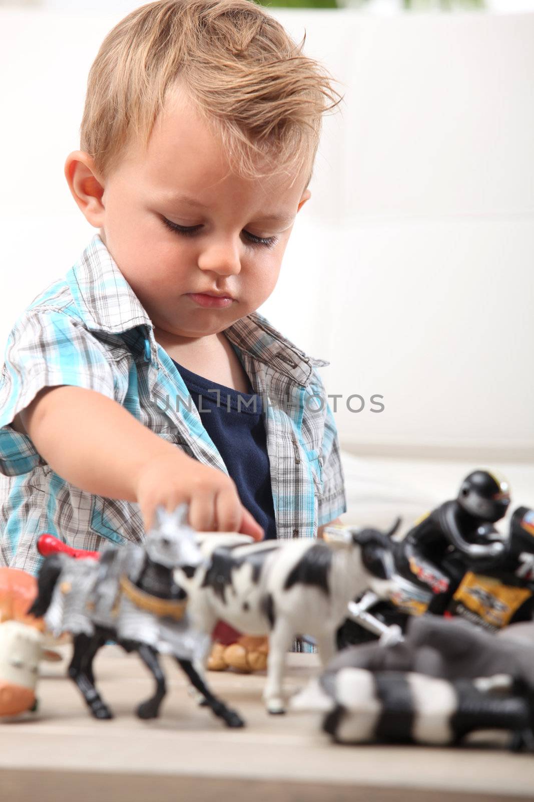 Young boy playing with a selection of toy figurines and animals by phovoir