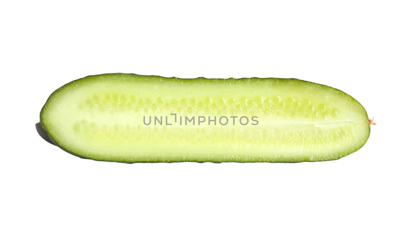 Cucumber 