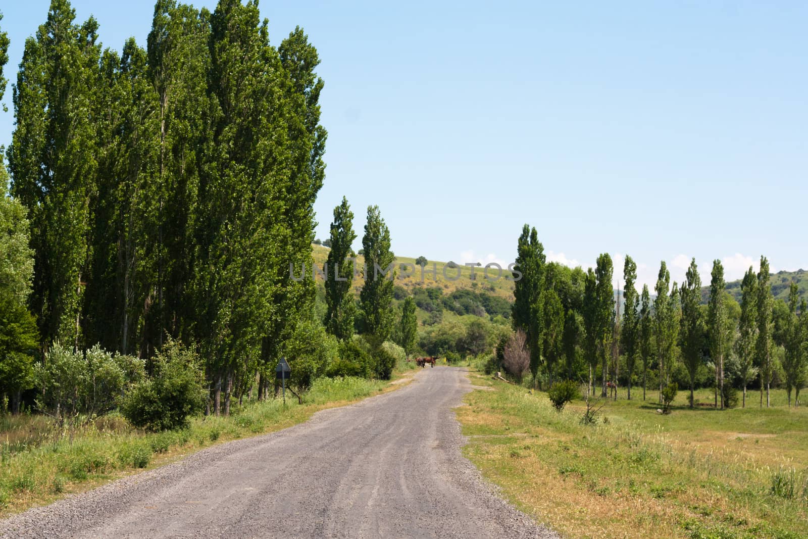 road in the mountains. Of Kazakhstan. Mashat