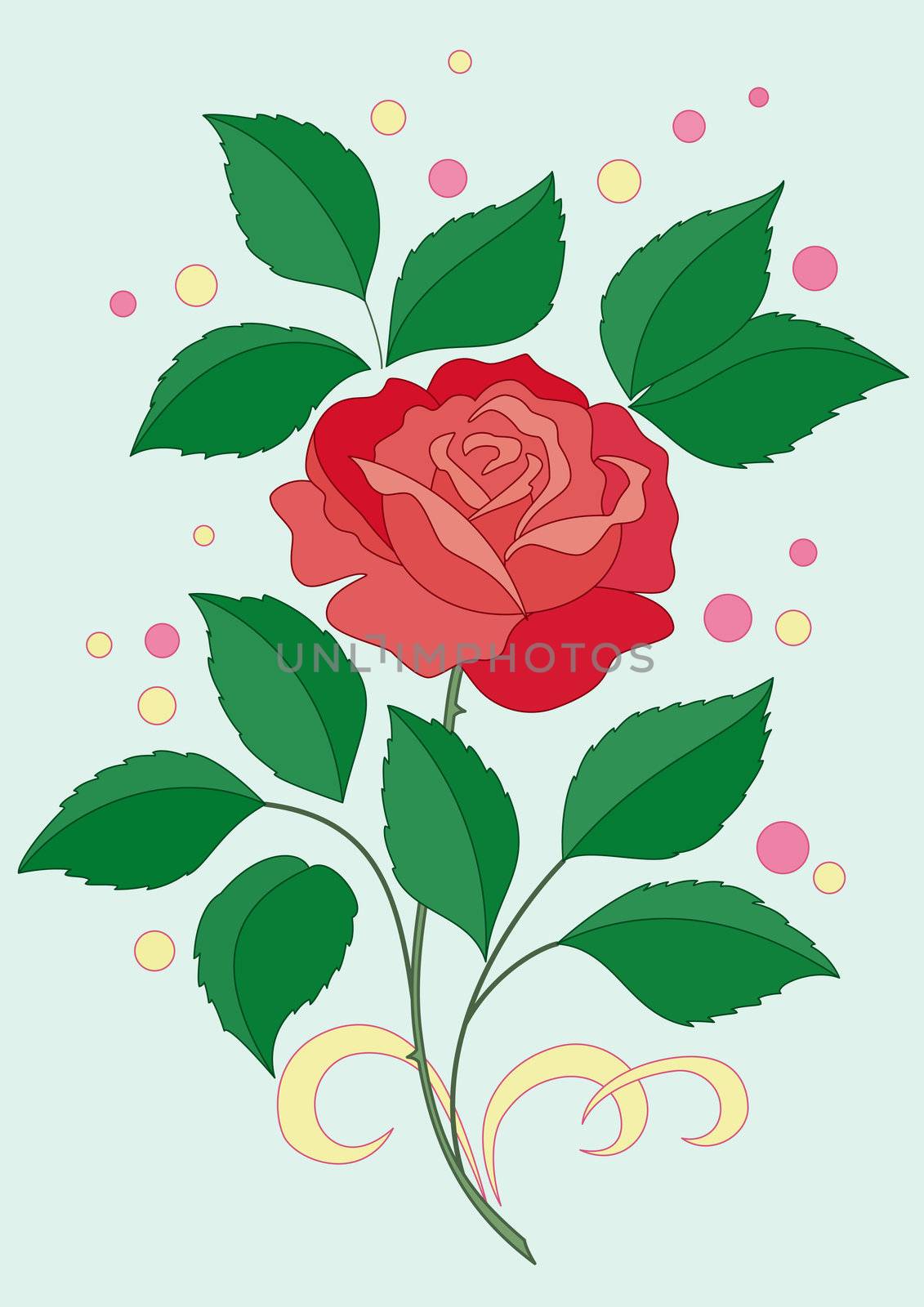 Flower rose with green leaves and scarlet petals and confetti on blue background, vector