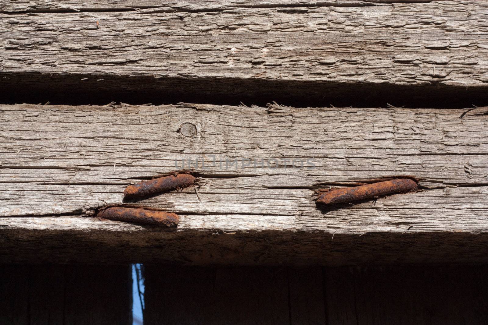 rusty nails in wood  by schankz