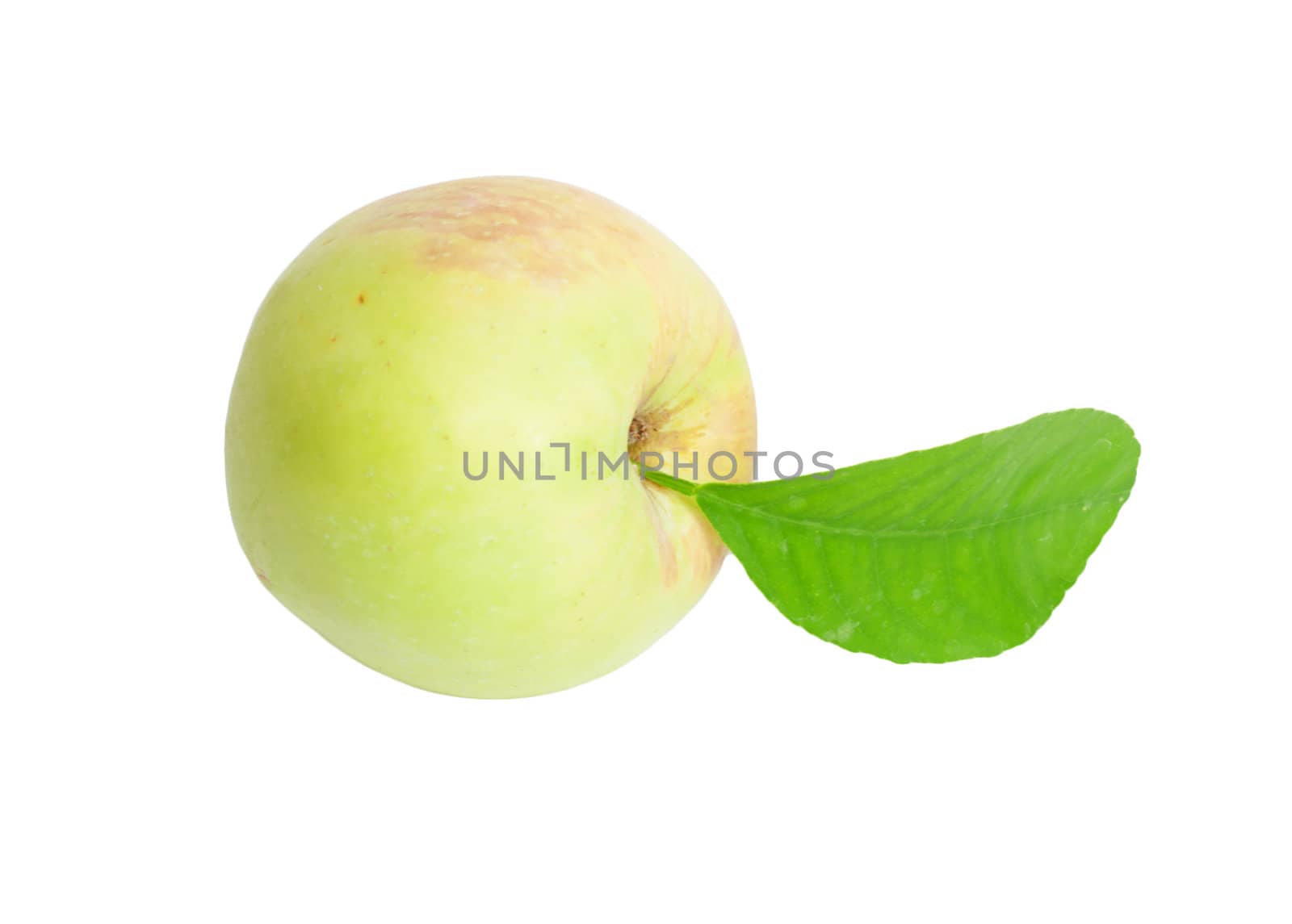 Apple with leaf on white background 