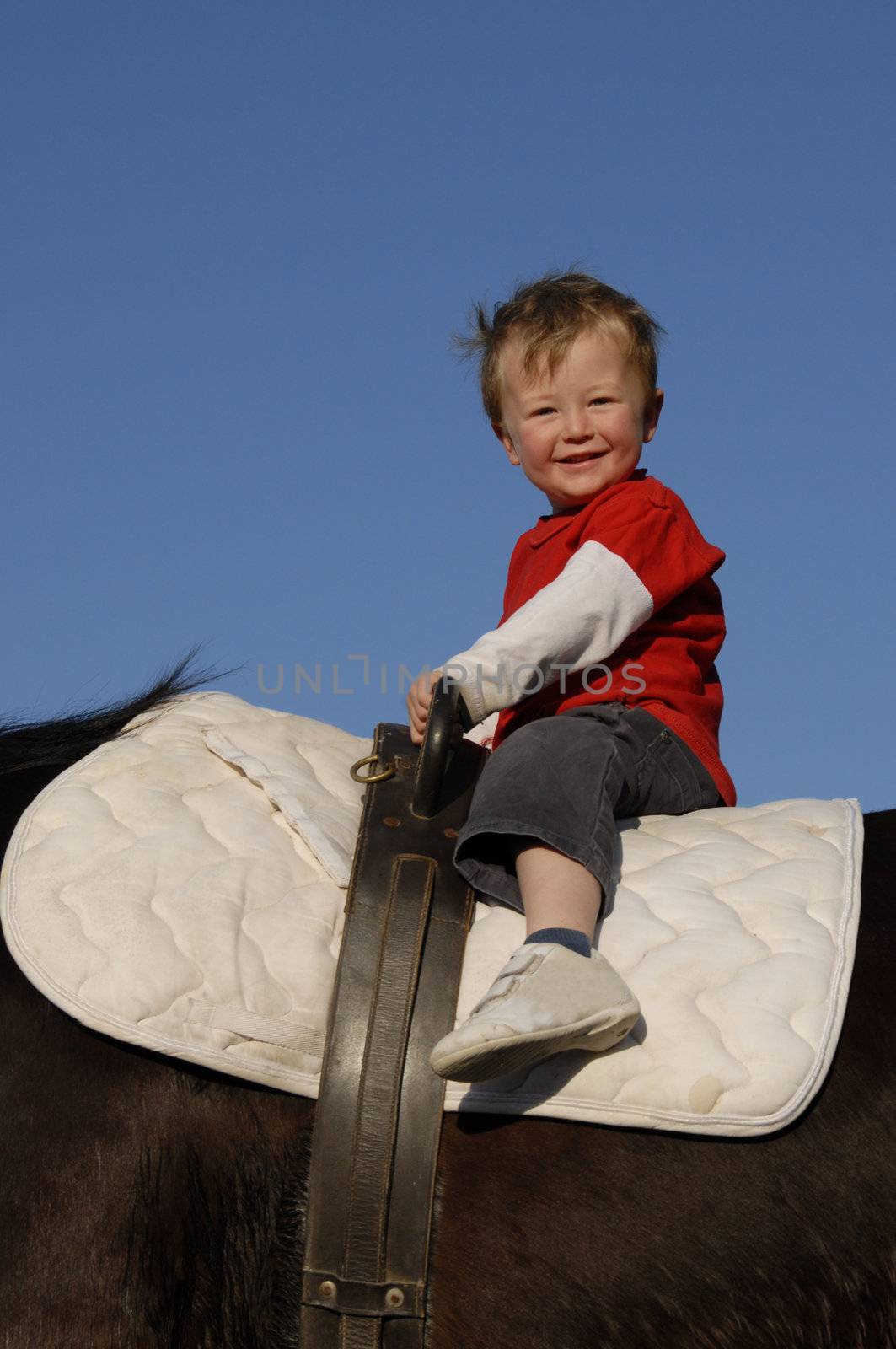 very young boy on a big brown horse