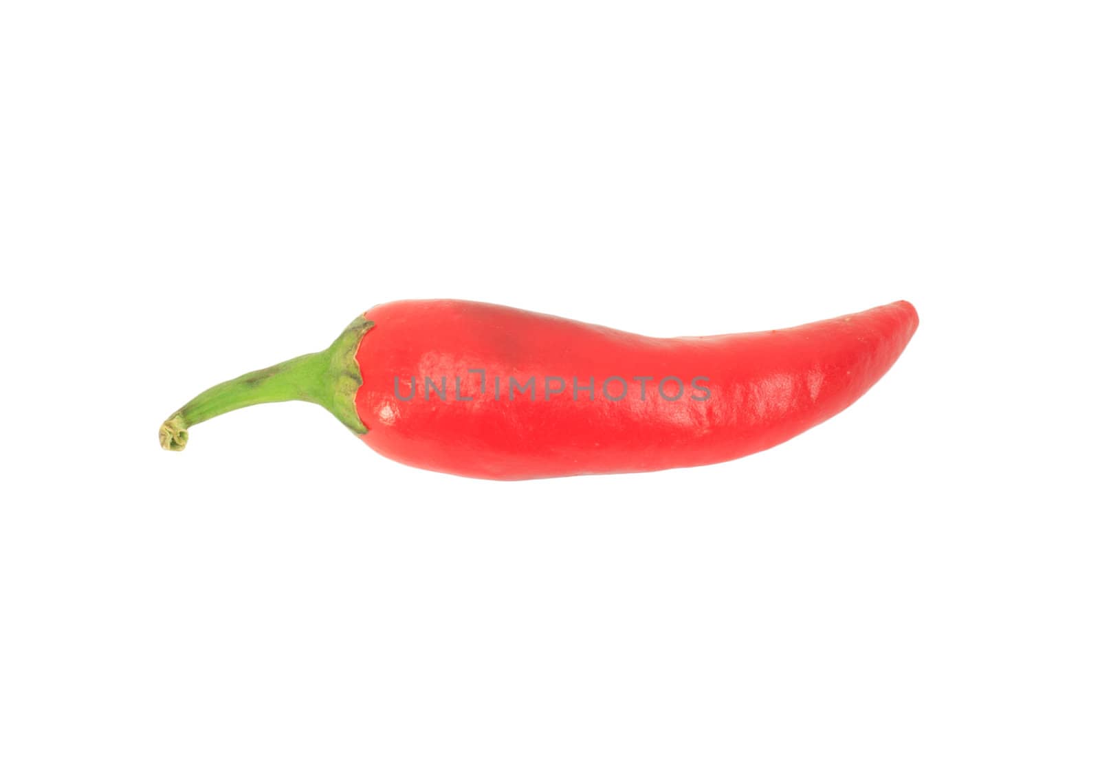 red hot chili pepper isolated on white background  by schankz