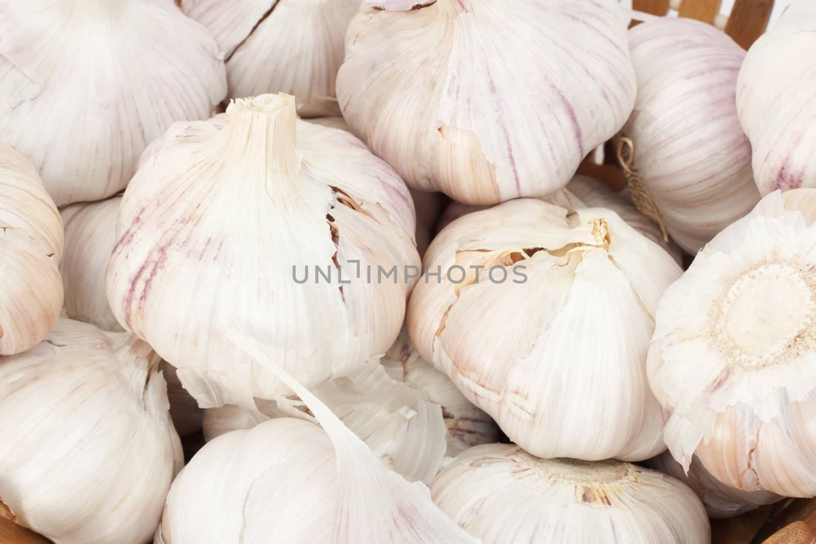 garlic as a background by schankz