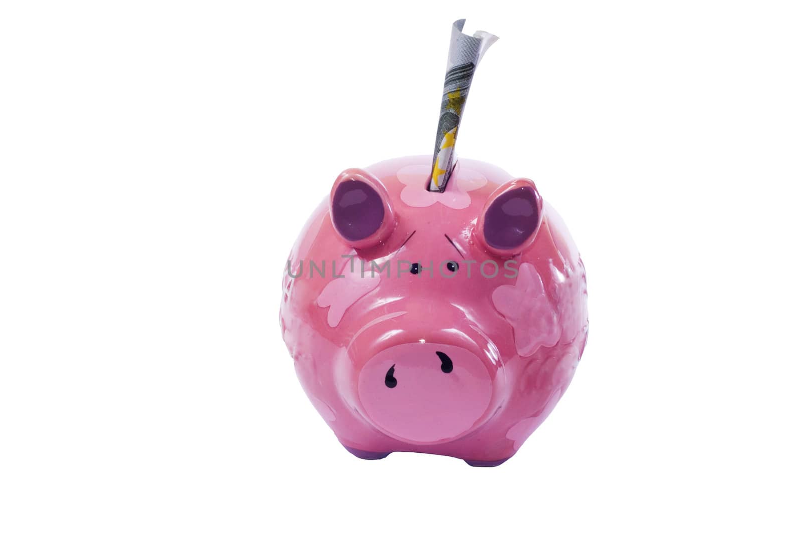 money in piggy bank