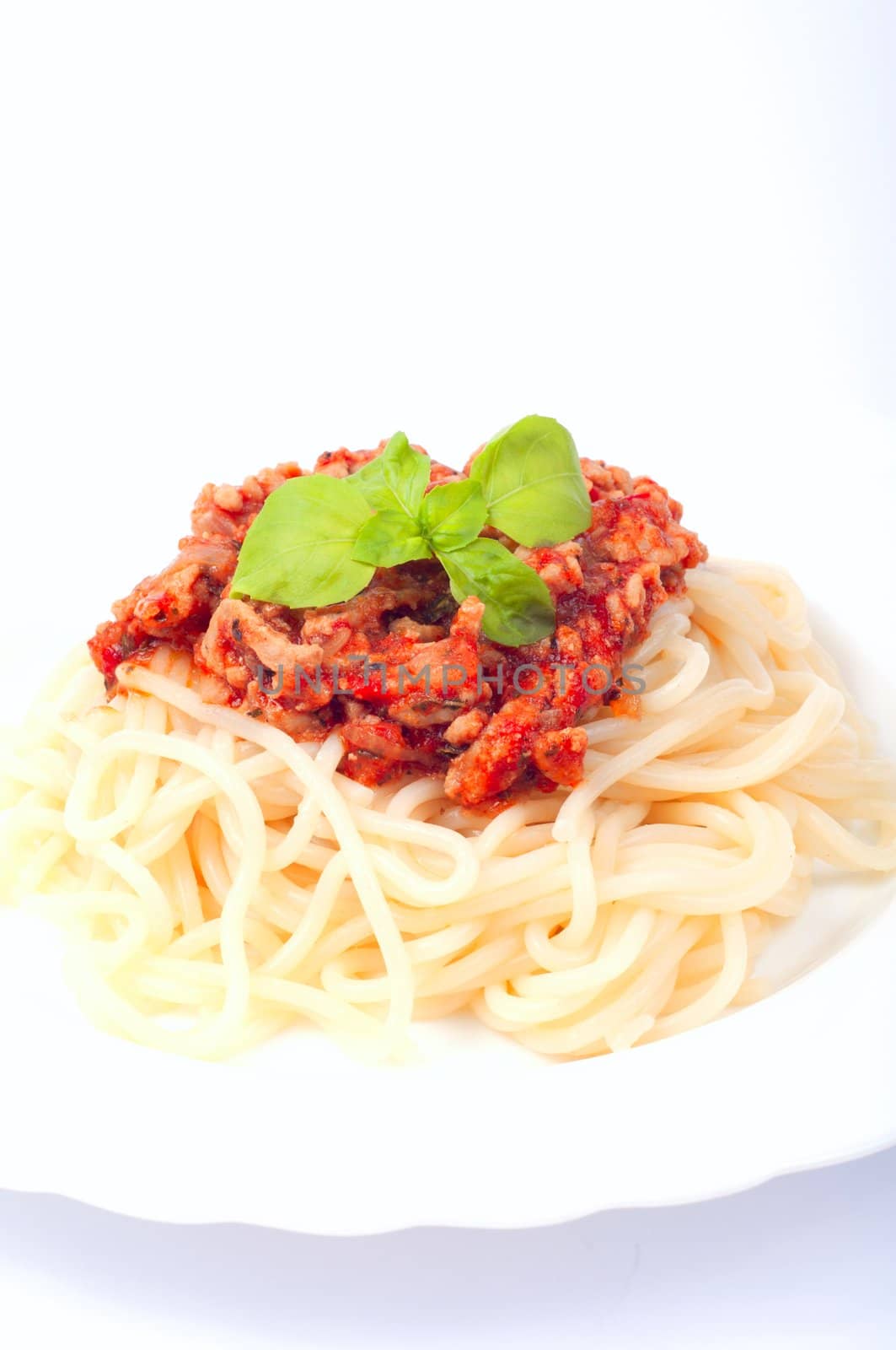 Saghetti on plate on white background