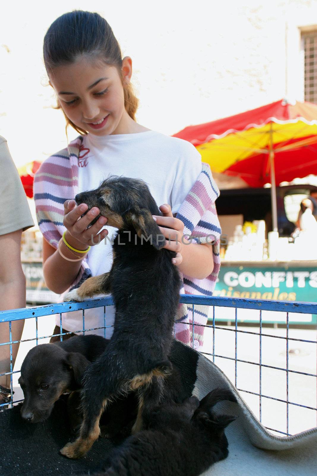 Young girl caressing a puppy