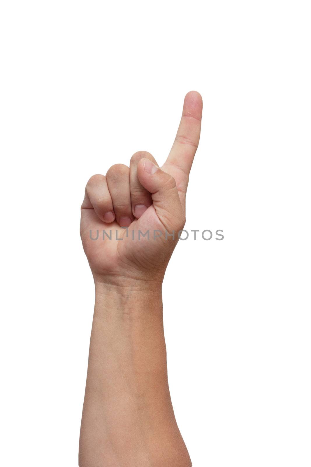 Male hand isolated on white background  by schankz