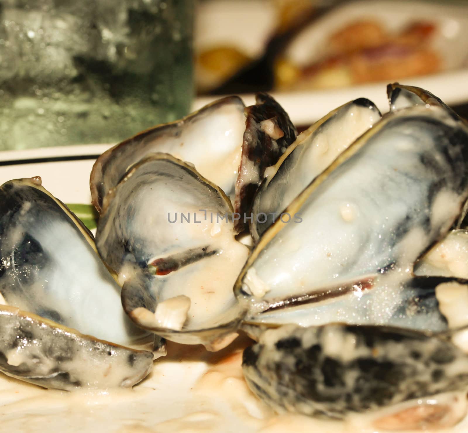 Close Up of Partially Eaten Mussels