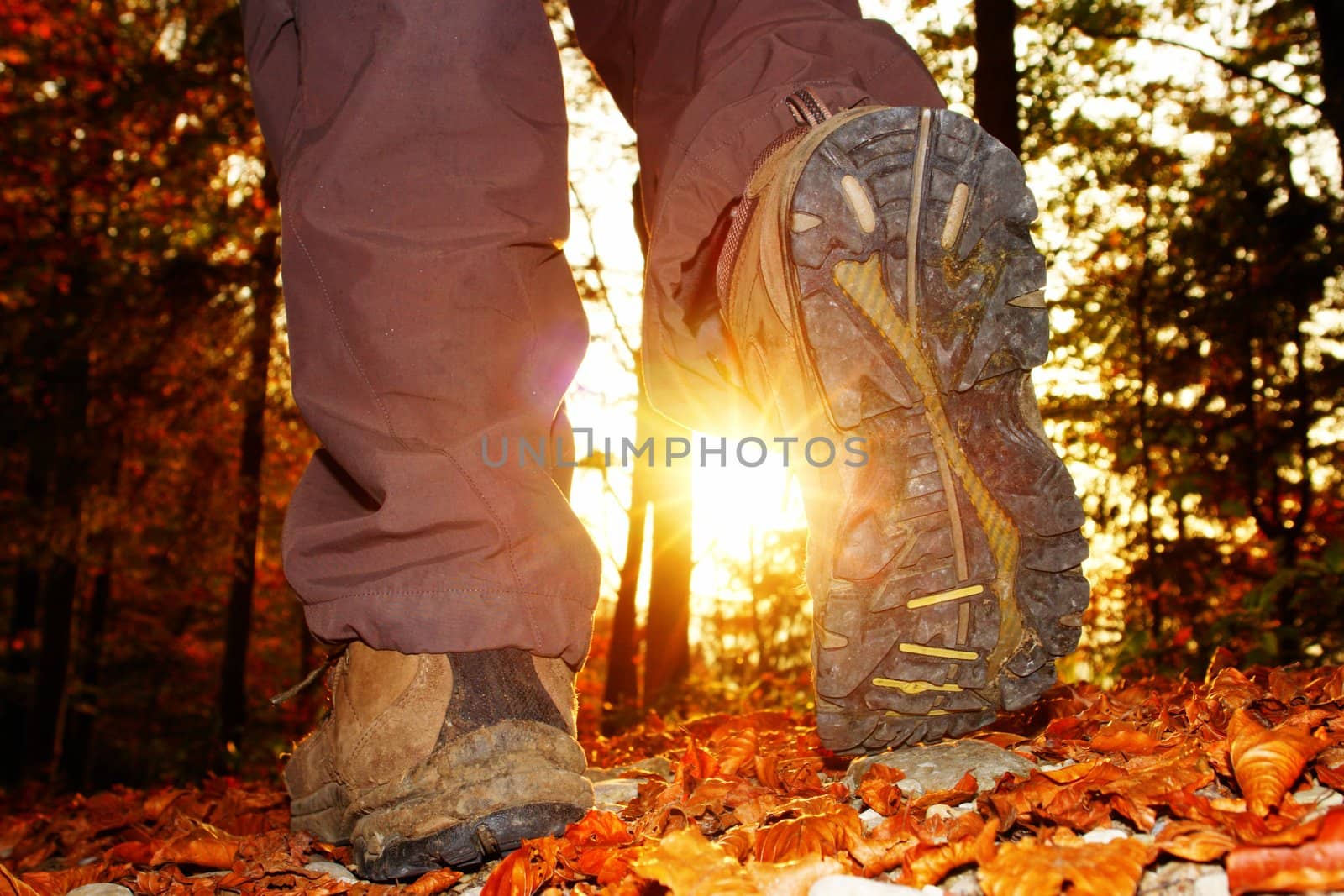 hiking view from the ground