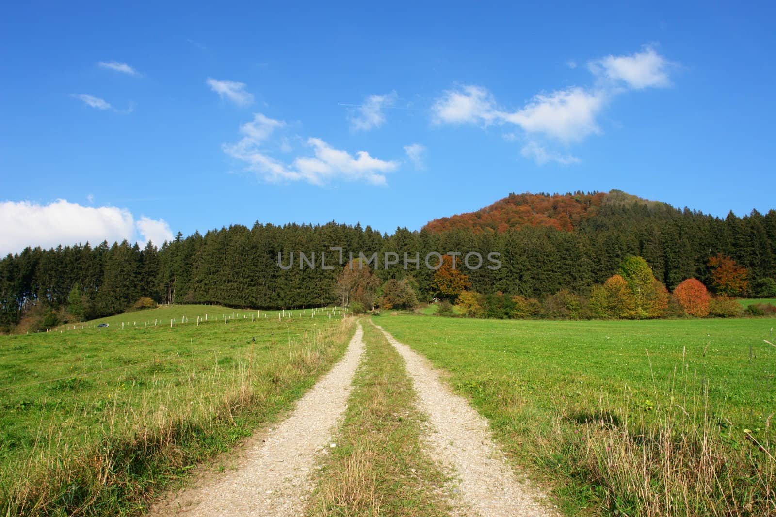 landscape at a autumn mood