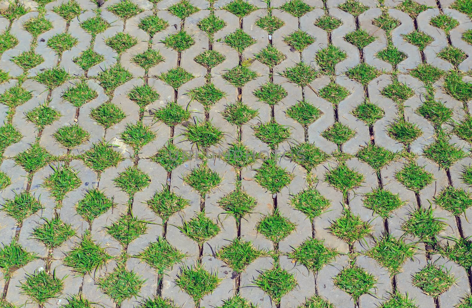 Old brick floor and green grass in hole.