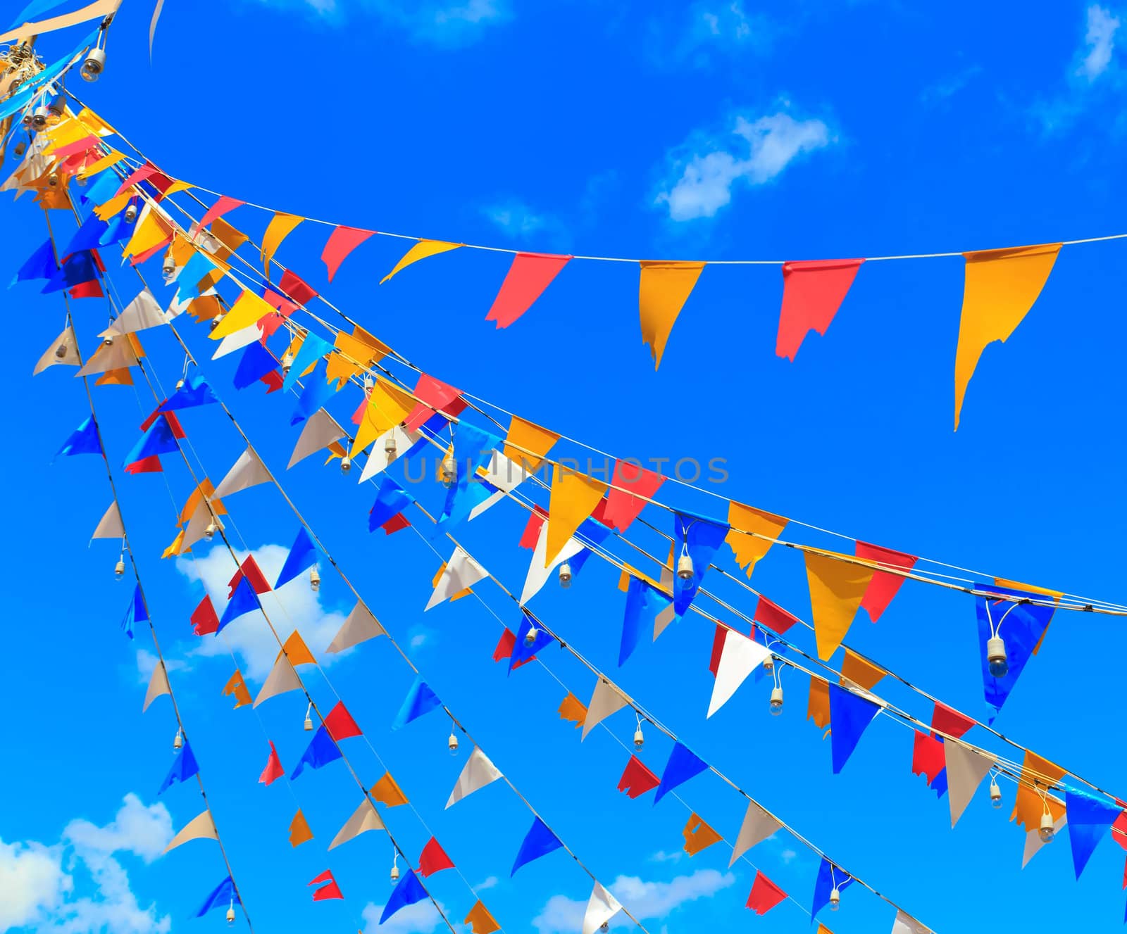 Bunting by thanarat27