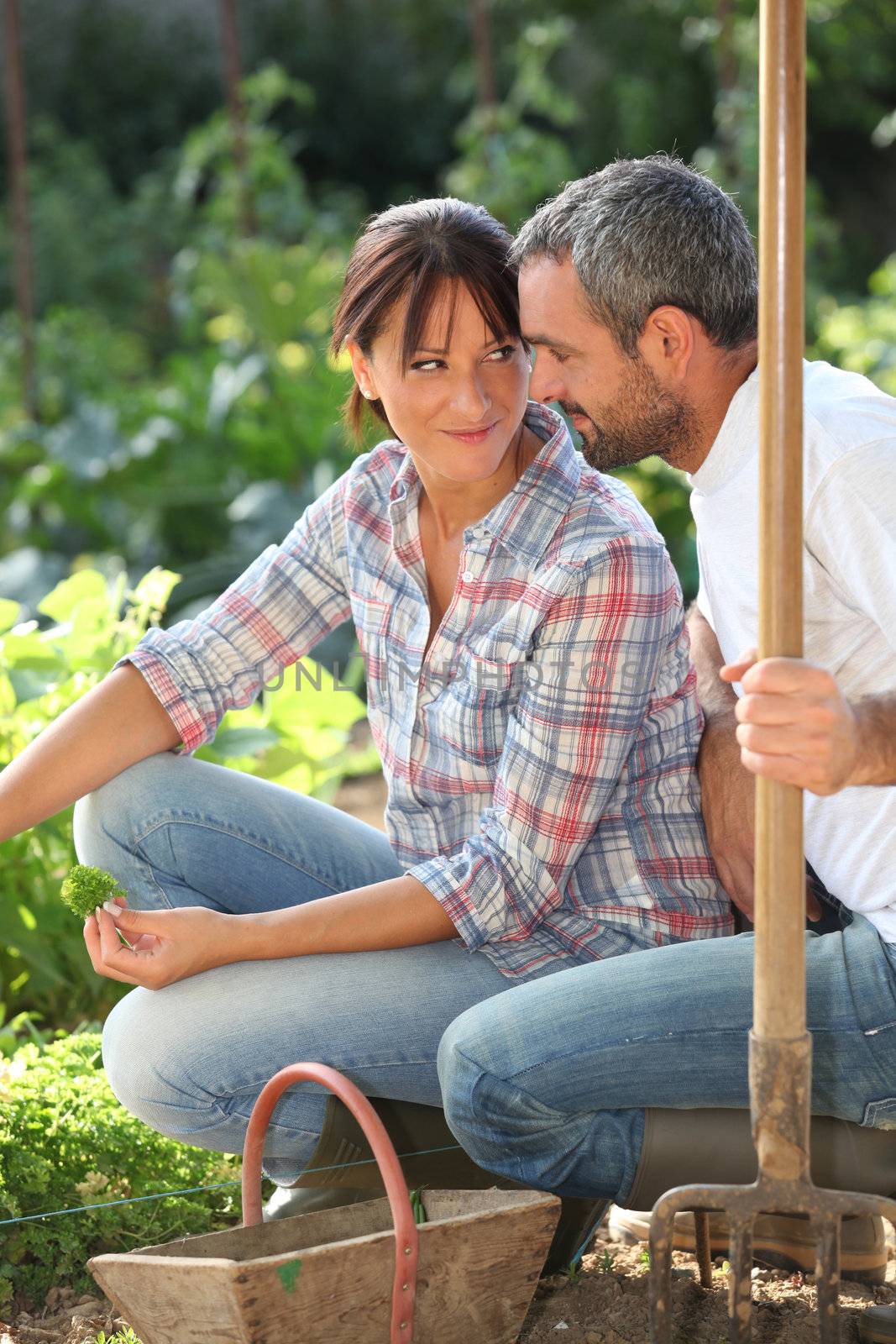 Romantic couple in an allotment by phovoir