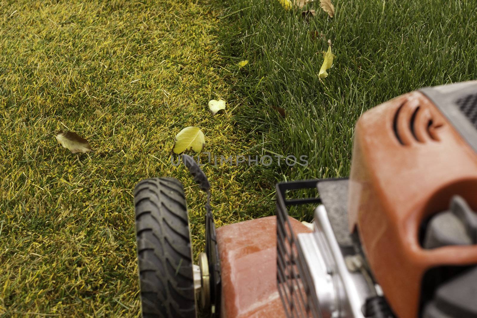 cut grass with lawnmower in fall by kjcimagery