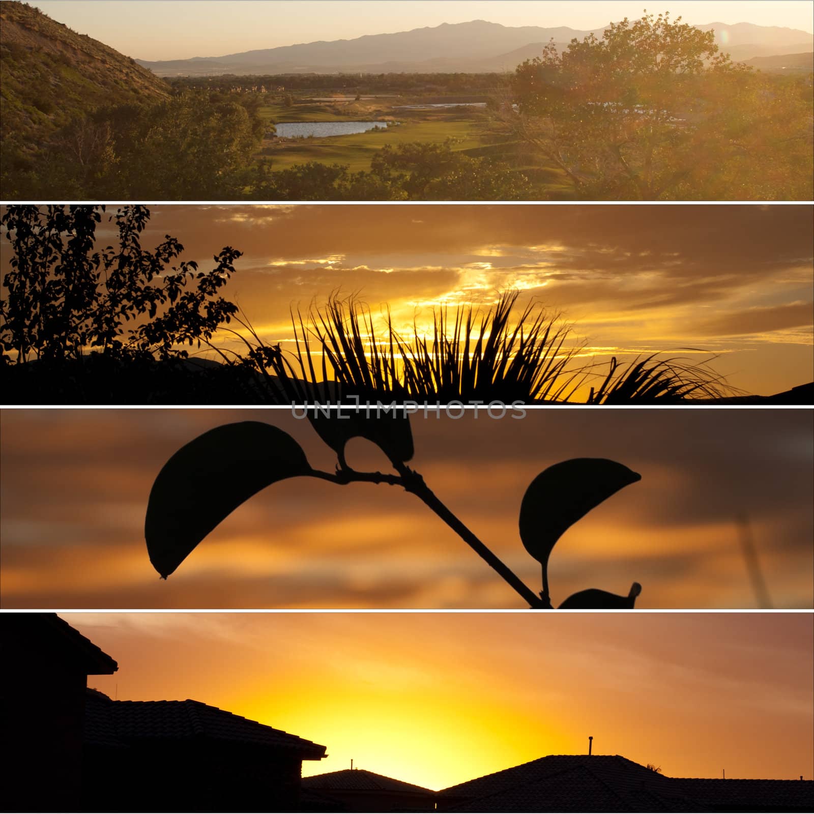 collage of four different sunsets including, golf, silhouettes, and homes